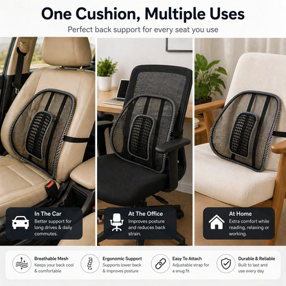 ErgoMesh Car Back Support Cushion