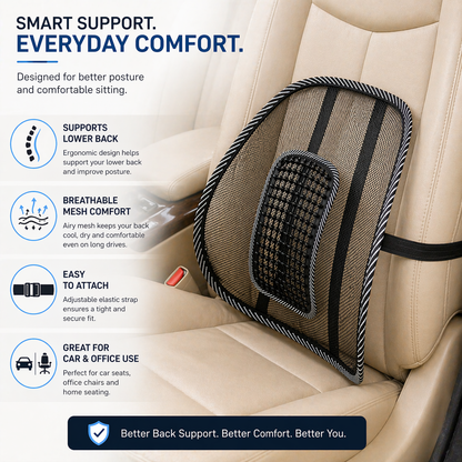 ErgoMesh Car Back Support Cushion
